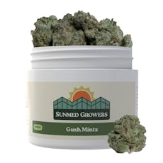SunMed Gush Mints 7g