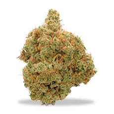 Herbal Dynamics - Golden Pineapple