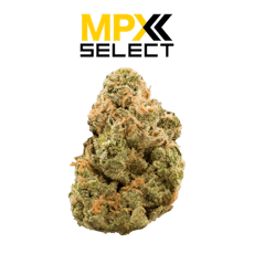 MPX Select Fruit Loopz Flower