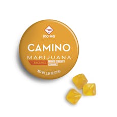 CAMINO - GUMMIES - 100MG THC / 100MG CBD - 20PK - MANGO SERENITY 1:1 BALANCE