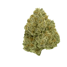 Permanent Marker Flower by Giving Tree Gardens