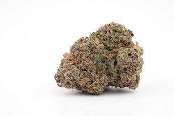 Silver Snowman - Noble Farms (SH)