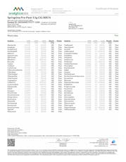 Springtime Pre-Pack 3.5g Citral Glue (S) - 00076