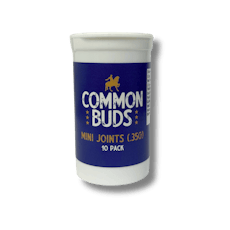 Small Buds | Big Bud