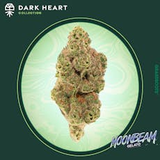 Dark Heart Moonbeam Gelato Small Flower | 7g