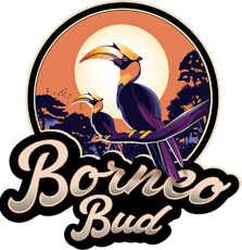 Borneo Bud - Blue Lobster - Flower 7g