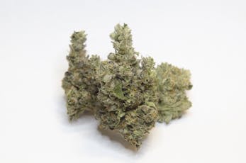 Small Buds | Sundae Sunset