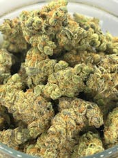 Gold Shelf - MAC1 (I)