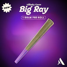 501st 1g Big Ray T18.93% I 00876