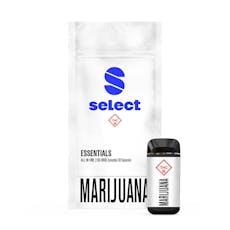 SELECT - ESSENTIALS - BRIQ - DISPOSABLE DISTILLATE - 2G - GOOEY BUTTER CAKE - HYBRID