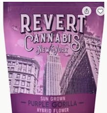 REVERT | PURPLE GORILLA | 14G