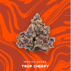 Vivid | Trop Cherry 3.5g