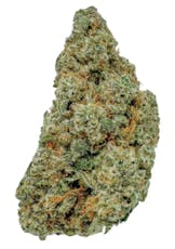 Pineapple Donut | Flower | 14G