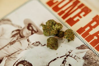 Wedding Crasher 3.5g Pre-Pack