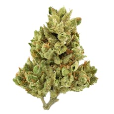 Releaf Flower - Tropical Slushie