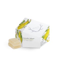 Wyld - Pear 1:1 THC:CBG Gummies 100mg - 1.4oz