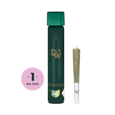 Dogwalkers - Chem 'n Cookies SSU Flower Pre-Roll - .75g - 1 Day