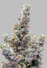 Trifecta Farms | Dry Ice | 3.5g