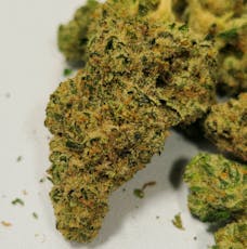 Robusta | Ozone | Buds | 28g/1oz