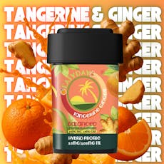 Easyday Edibles | Balanced | Tangerine Ginger | 10 Pack | 10mg