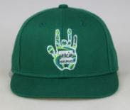 Garcia Flat Brim Hat Green