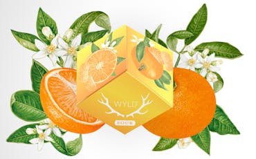 Balanced - Playful Sour Tangerine Gummies 100mg (10-Pack | 10mg Each)