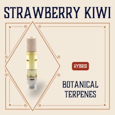 Strawberry Kiwi | Cartridge
