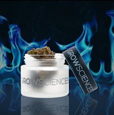Grow Sciences | Flower | Prickly Pear | 3.5g