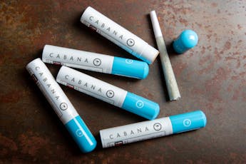Cabana 1g Platinum Garlic Cookies Pre-Roll