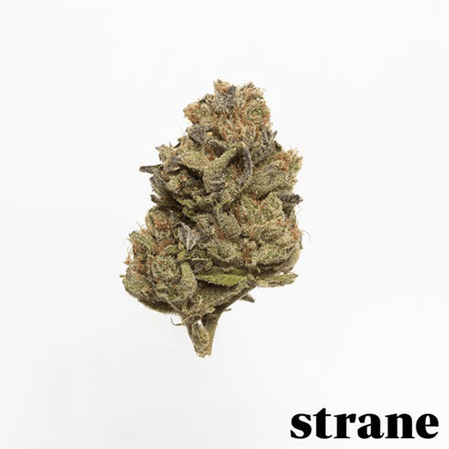 GG #4