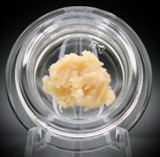 Disco Diesel Live Rosin 1g - Beezle