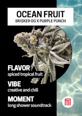 Special | Ocean Fruit | Moment | 3.5g