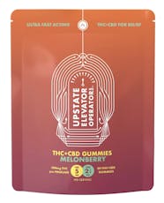 2:1 THC + CBD | 100MG Melon Berry Gummies