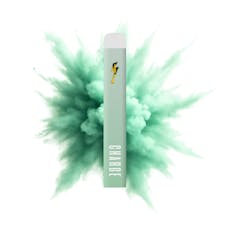 Disposable Vape - Watermelon Splash | 1G (Charge Bar)