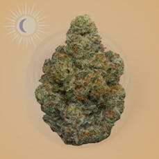 all:hours Hash Burger 41213