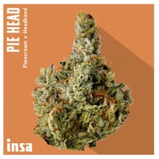 INSA Pie Head 3.5g