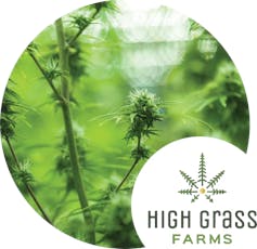 High Grass Jerzy Landscapes - Bickett OG Solventless RSO Syringe - 1G