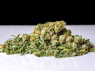 Popcorn Shelf - Space Coast Gelato (H)