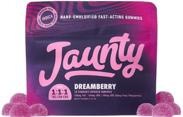 Dreamberry - THC:CBN:CBD 10 Pack (100mg)