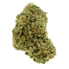 Wiser Buds | Juicy Froot