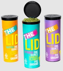 Xena Souffle | Shake | 28G