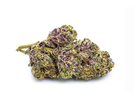 Purple Lamborghini