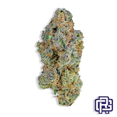 Forbidden Fruit Flower | Derby's Farm