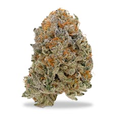 Flyte Co - Chem Dosi