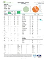 Fingerboard Farm | CBD Calming Creme | Muscle Relief | 1500mg CBD