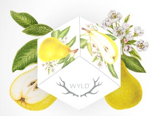 Balanced - Refresh Ratioed Pear Gummies 200mg (10-Pack | 20mg Each)