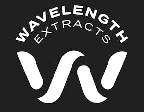 WAVELENGTH - NORTHERN LIGHTS 2G DISPOSABLE INDICA