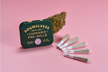 Gogurtz | 1.75g (5pk) | Dogwalkers