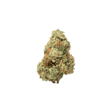 GLACIER | HEAVY Z | HYBRID | DELI-FLOWER | REC