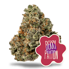 District Cannabis Pre-Pack 3.5g - Berry Payton